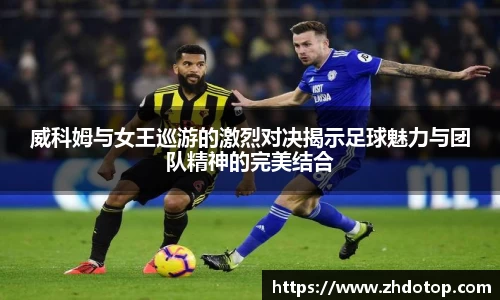 威廉希尔体育